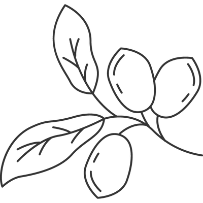 Jojoba Oil