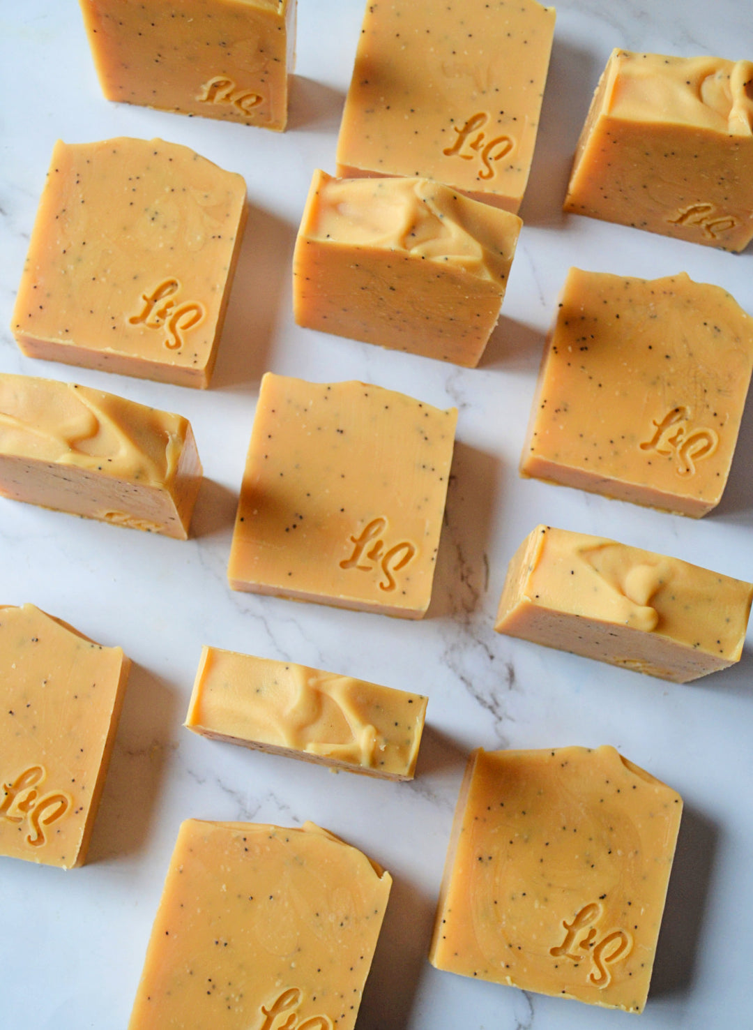 Lemon Poppy Seed Bar Soap