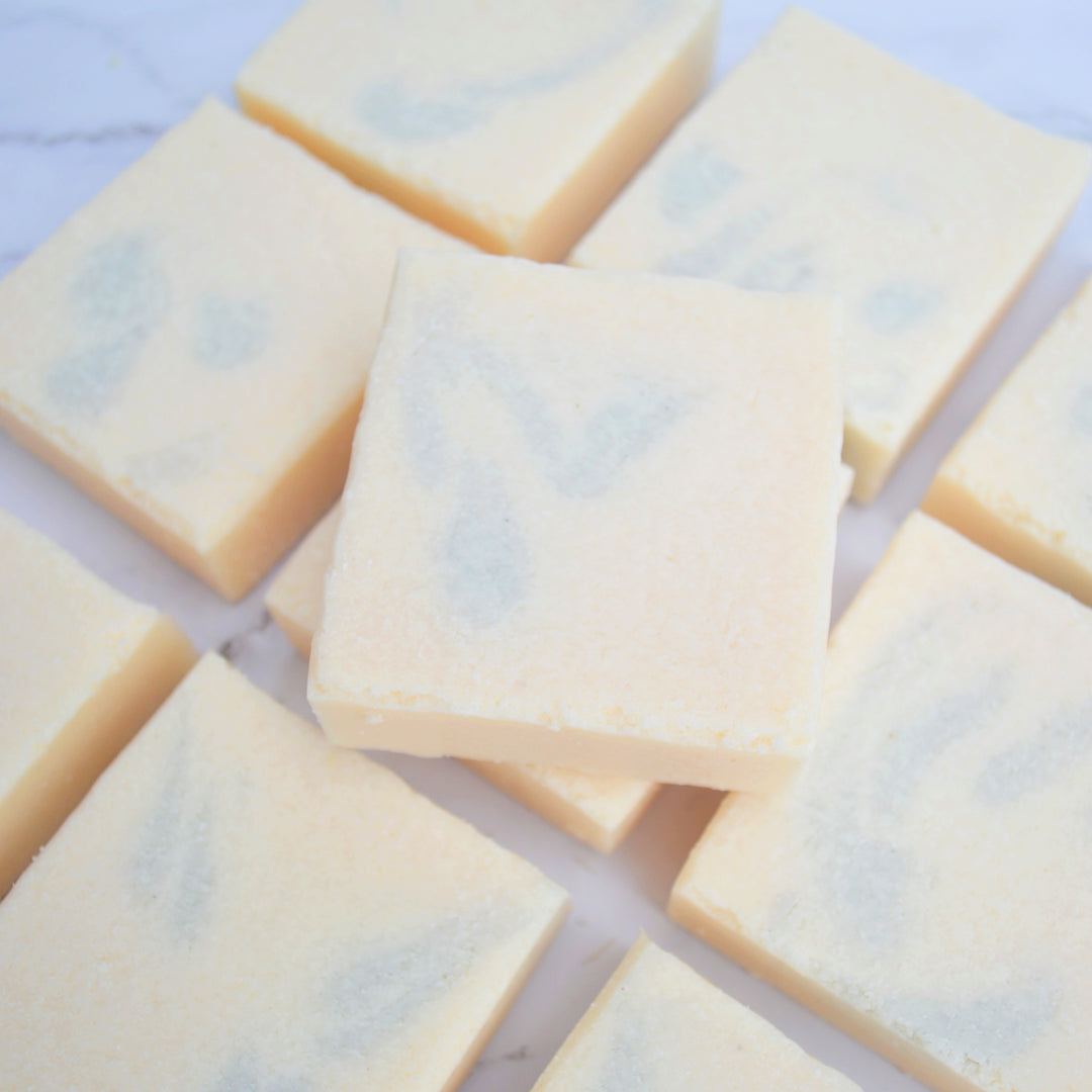 Sea Salt - Exfoliating Bar Soap
